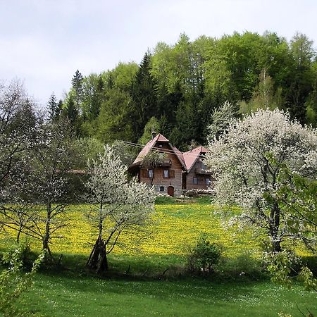 Konaci Zaovljanska Jezera Apartment Zaovine Luaran gambar