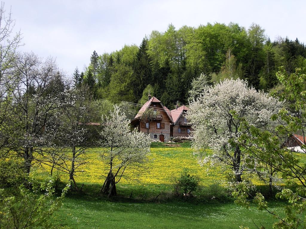 Konaci Zaovljanska Jezera Apartment Zaovine Luaran gambar
