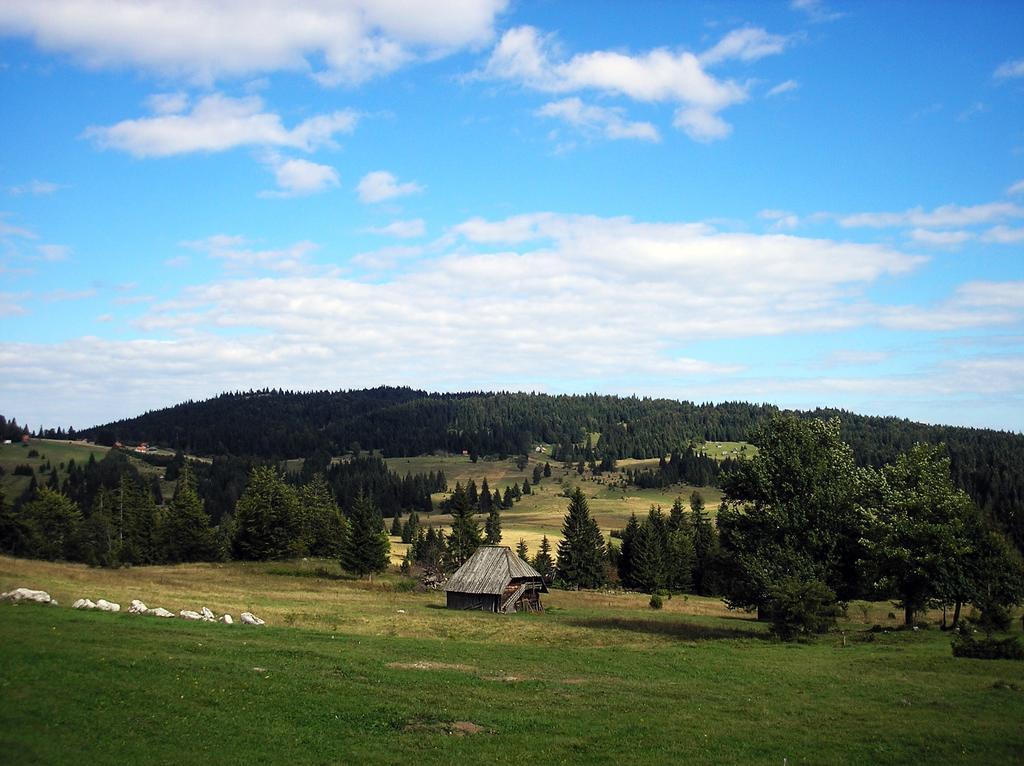 Konaci Zaovljanska Jezera Apartment Zaovine Luaran gambar